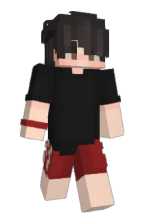 Bkks Minecraft avatar full body