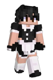 Bl2u Minecraft avatar full body