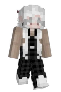 Bl_ank Minecraft avatar full body