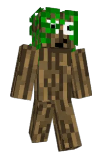 Blackiking Minecraft avatar full body