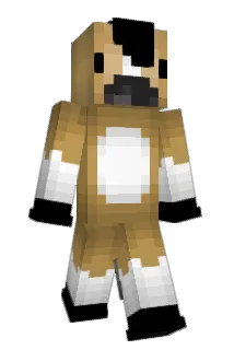 Blackwidow6 Minecraft avatar full body