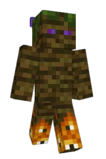 Blazinfox555 Minecraft avatar full body