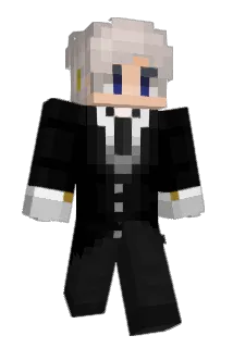 Ble1zer1 Minecraft avatar full body
