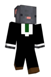 Blessire Minecraft avatar full body