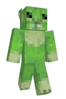 Blindshot_ Minecraft avatar full body