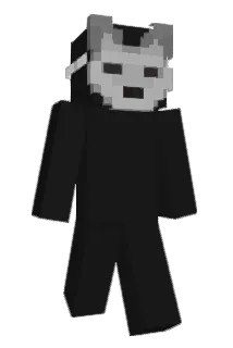 Blitz1017 Minecraft avatar full body