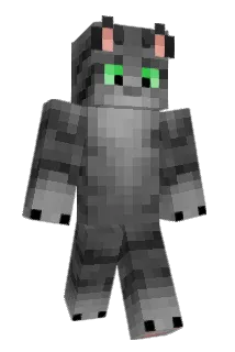 Blitzstern Minecraft avatar full body