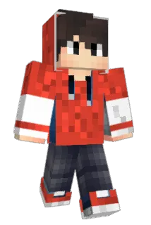 Blitzwolf5 Minecraft avatar full body