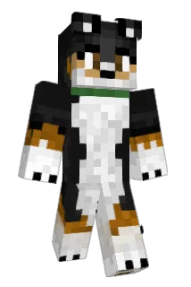 Blix_Fox Minecraft avatar full body