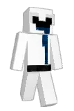 Blleeps Minecraft avatar full body
