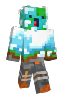 Bloar Minecraft avatar full body