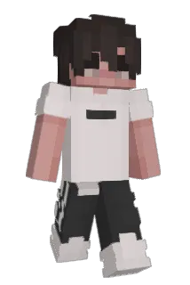 BlockBurcki Minecraft avatar full body