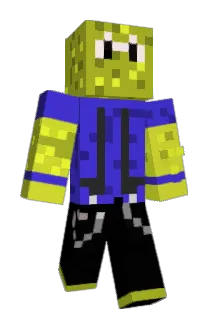 Blockigertyp Minecraft avatar full body