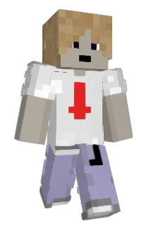 BlocksArkitekt Minecraft avatar full body