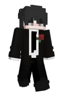 BlockyBro3495 Minecraft avatar full body