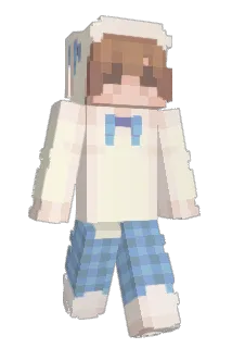 Blokus110 Minecraft avatar full body