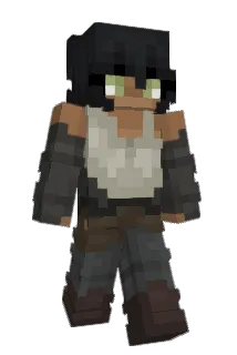 BlomikPL Minecraft avatar full body