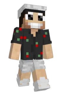 Blooberg Minecraft avatar full body