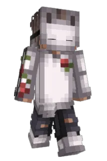 Bloomlingz Minecraft avatar full body