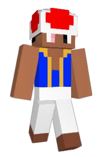 Bloomsom Minecraft avatar full body