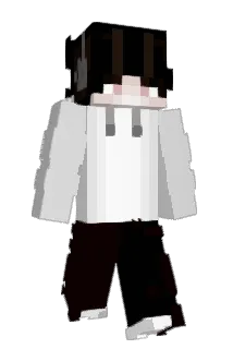 BloopVorp_ Minecraft avatar full body