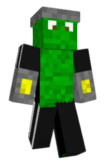 BloppyTurtle Minecraft avatar full body