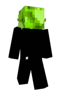 BlueOcean6 Minecraft avatar full body