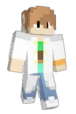 Blueberrs Minecraft avatar full body