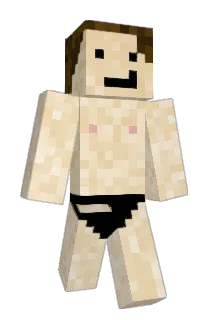 Blueice641 Minecraft avatar full body