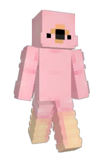 BlushFlamingo Minecraft avatar full body