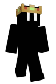 Bm_j8n Minecraft avatar full body