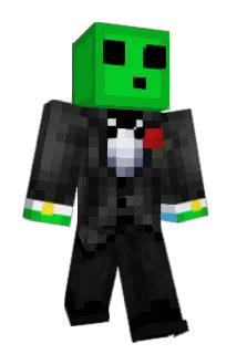Bmns Minecraft avatar full body
