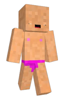 Bng453 Minecraft avatar full body