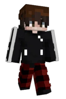 Bnjidi Minecraft avatar full body