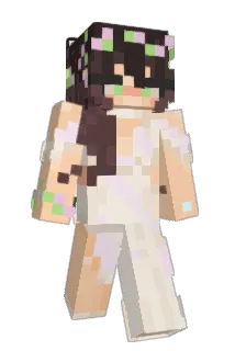 Bnziii Minecraft avatar full body