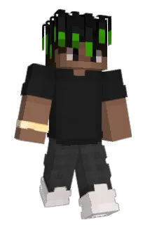 Boad Minecraft avatar full body