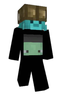 BoakEisTurtle Minecraft avatar full body