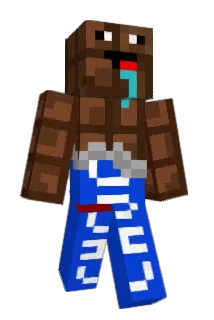 BoboMaster Minecraft avatar full body