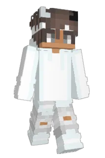 Bobruczek Minecraft avatar full body