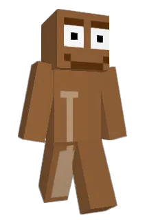 Bocok Minecraft avatar full body