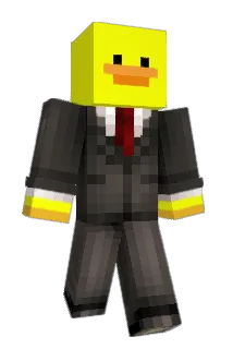 Boddeke Minecraft avatar full body