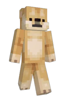 Bodenn1 Minecraft avatar full body
