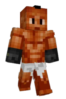 Bog53 Minecraft avatar full body