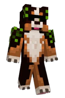 Bohdi3 Minecraft avatar full body