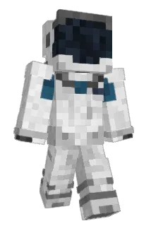 Bojons Minecraft avatar full body