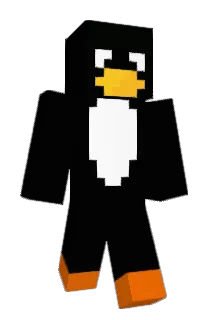Bok_A Minecraft avatar full body
