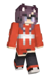 Bolllad Minecraft avatar full body