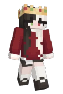 Bon85 Minecraft avatar full body