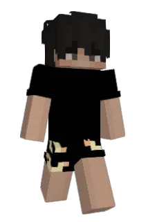 Boneless_Fry Minecraft avatar full body