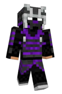Bones403 Minecraft avatar full body